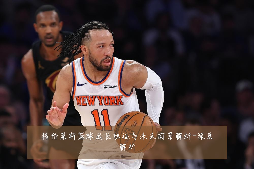 格伦莱斯篮球成长轨迹与未来前景解析-深度解析
